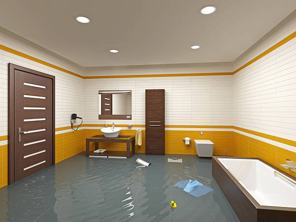 Best Sewage Cleanup and Restoration in USA